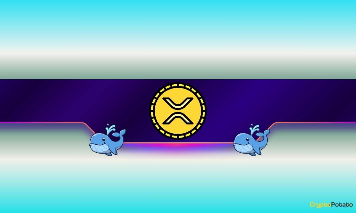 Büyük Balinalar 3 Günde 720 Milyon XRP Biriktirdi