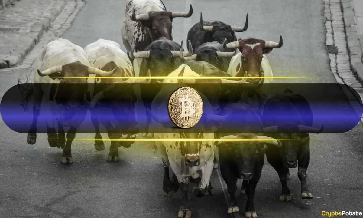 Bitcoin 97.800 Dolara Yükseldi: Balinalar Biriktiriyor, Küçük Yatırımcılar Satıyor