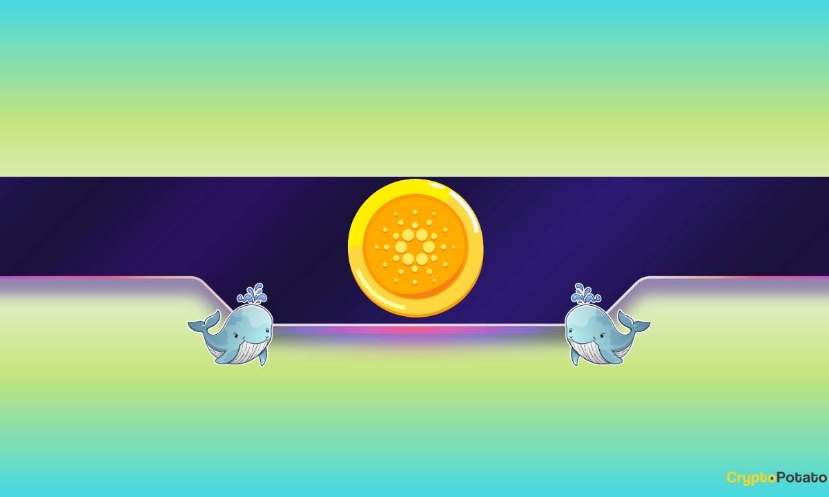 Cardano (ADA) Balinaları, Fiyat Zayıflığına Rağmen 210 Milyon Token Biriktirdi
