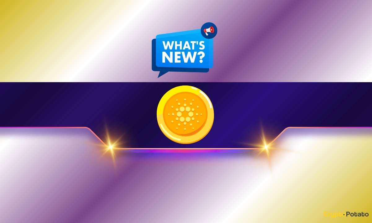 Cardano Ekosistemindeki Son Gelişmeler: Midnight ve DRep Delegasyonları