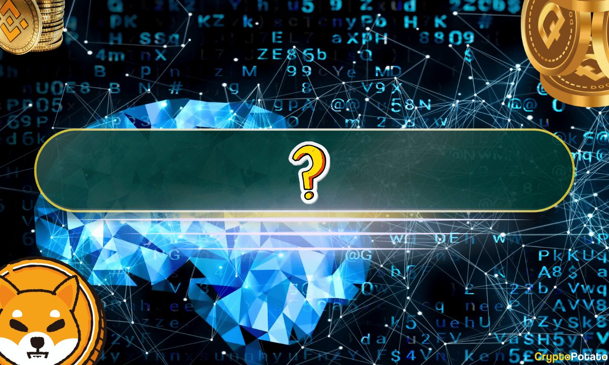 Rochard'dan Altcoin Eleştirisi ve Bitcoin Odaklı Politika Önerisi