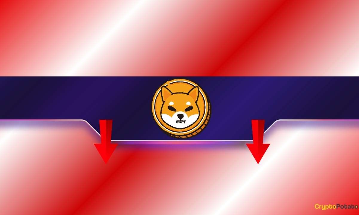 Shiba Inu (SHIB) Değerinde Düşüş: Daha Derin Bir Çöküş Mü?