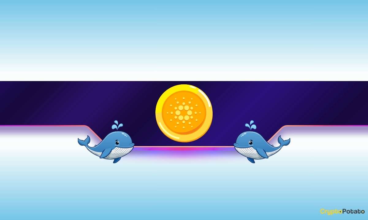 Cardano'da Büyük Satışlar: Balinaların Hamlesi Fiyatı Etkileyecek mi?