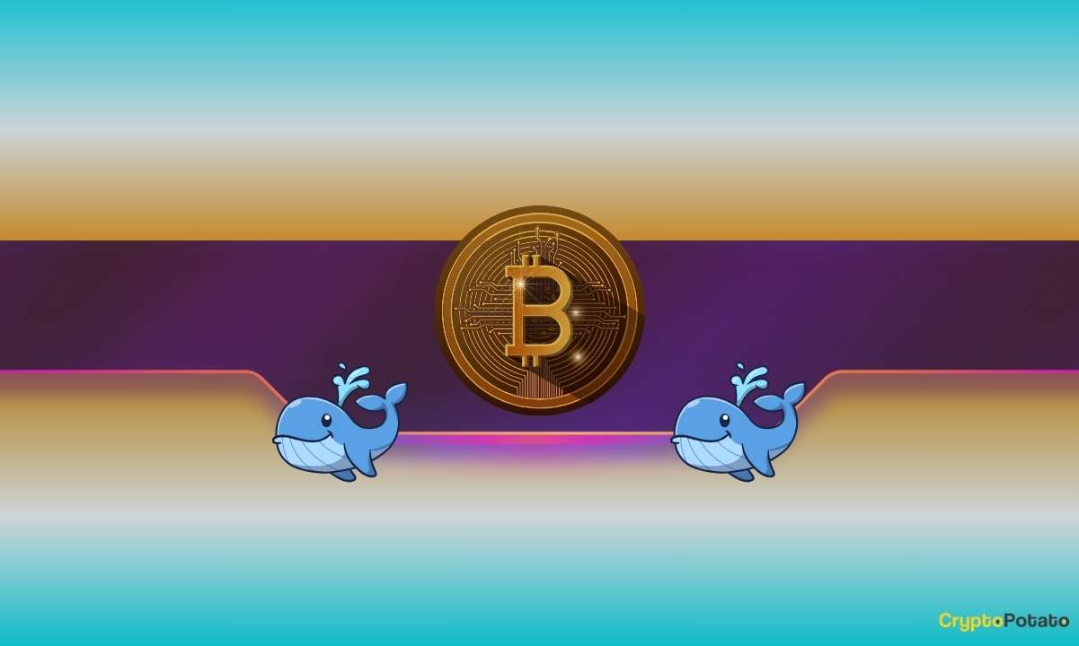 Bitcoin Fiyatında Sert Düşüş: 64.500 Doların Altına İniş