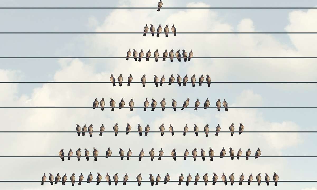 328 Milyon Dolarlık Kripto Ponzi Şebekesi İşlettiği İddia Edilen Executive Tutuklandı