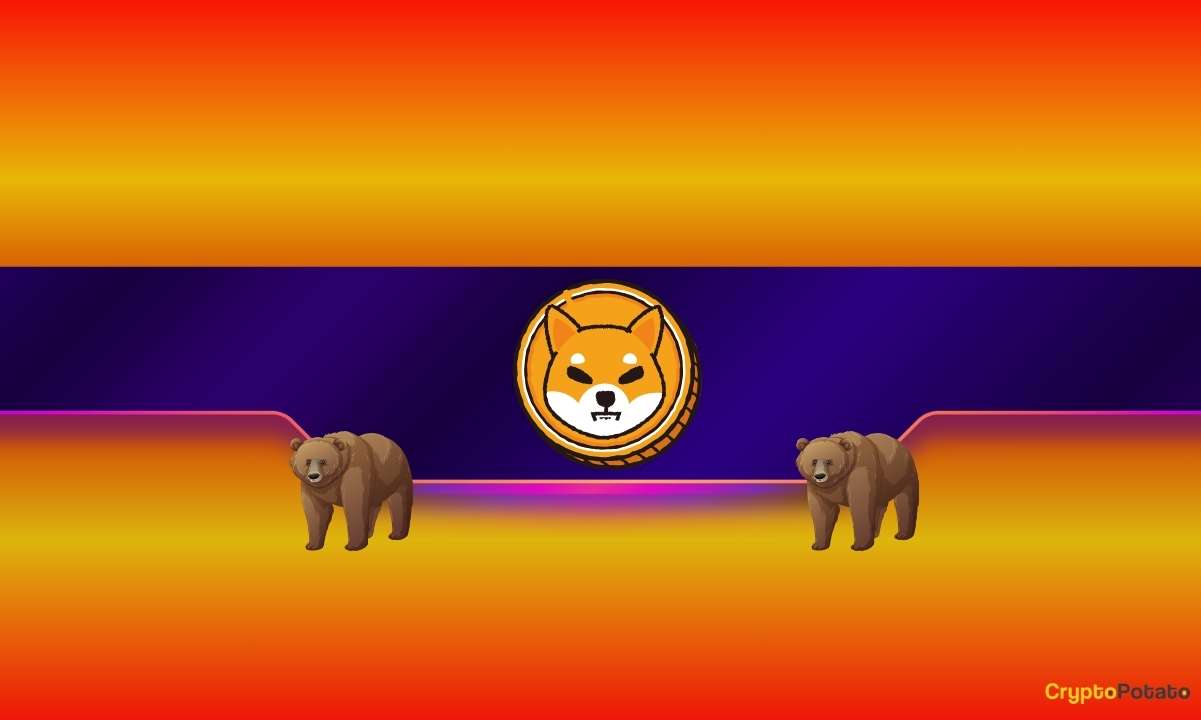 Shiba Inu (SHIB) Değeri Düşüşte, Daha Da Düşebilir mi?