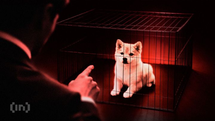 James Wynn'den Shiba Inu (SHIB) Açıklaması